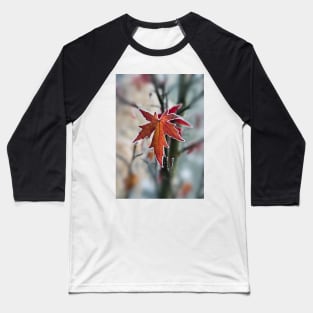 Maple In Frost Baseball T-Shirt